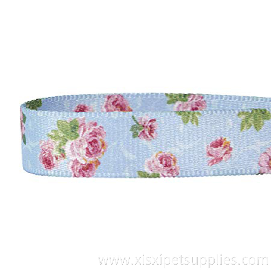 Pet Spring Scent Safety Training Martingale Dog Collar No Buckle with Personalization Options